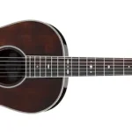 Ibanez AVN10 "Thermo-Aged" Parlor Guitar