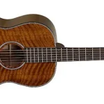 Parlor Guitar tanglewood-tw40-pd