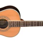 Parlor Guitar washburn-wp26sns