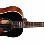Parlor Guitar alvarez-ap66sb