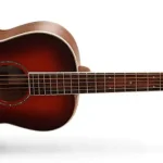 Parlor Guitar cort-l900p