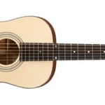 eastman-e20p-parlor-acoustic guitar